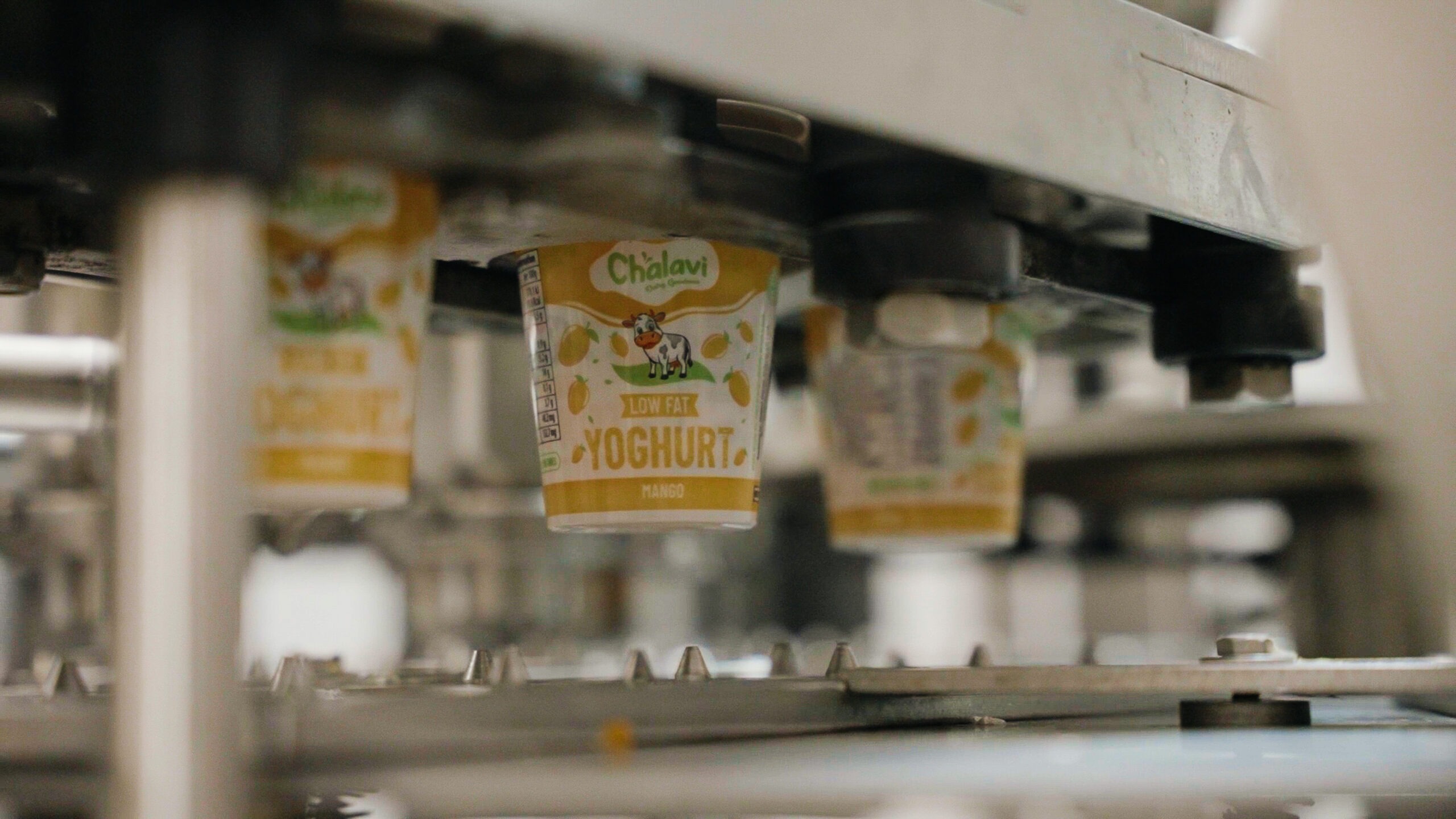 Chalavi Mango Yoghurt