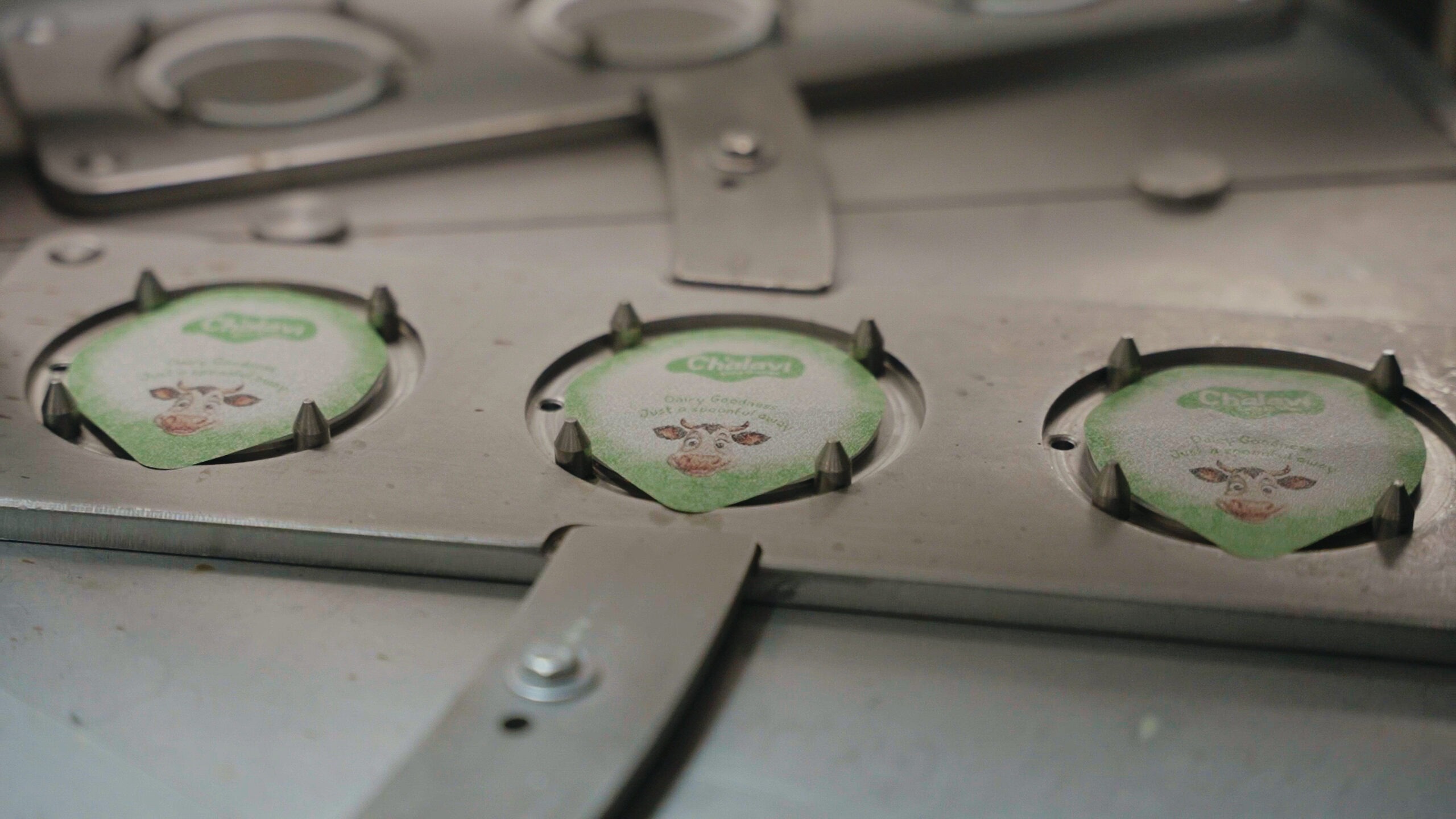 Yoghurt production line