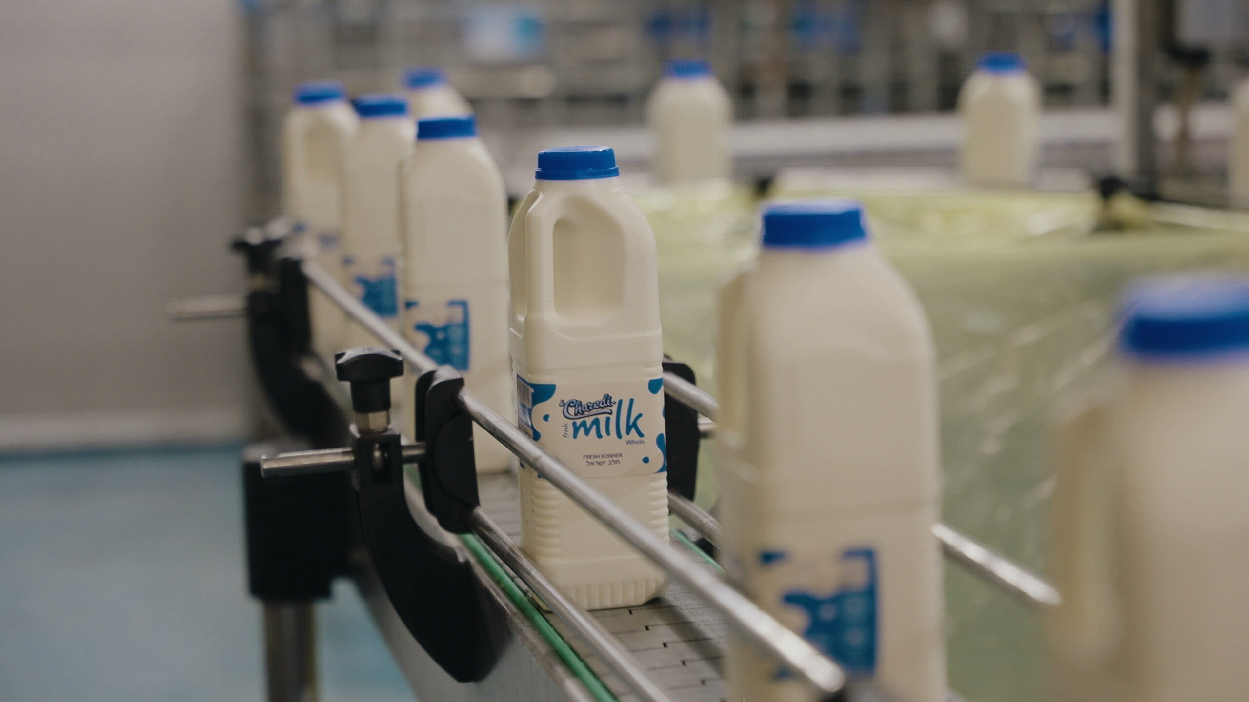 Charedi Dairies — fresh production line