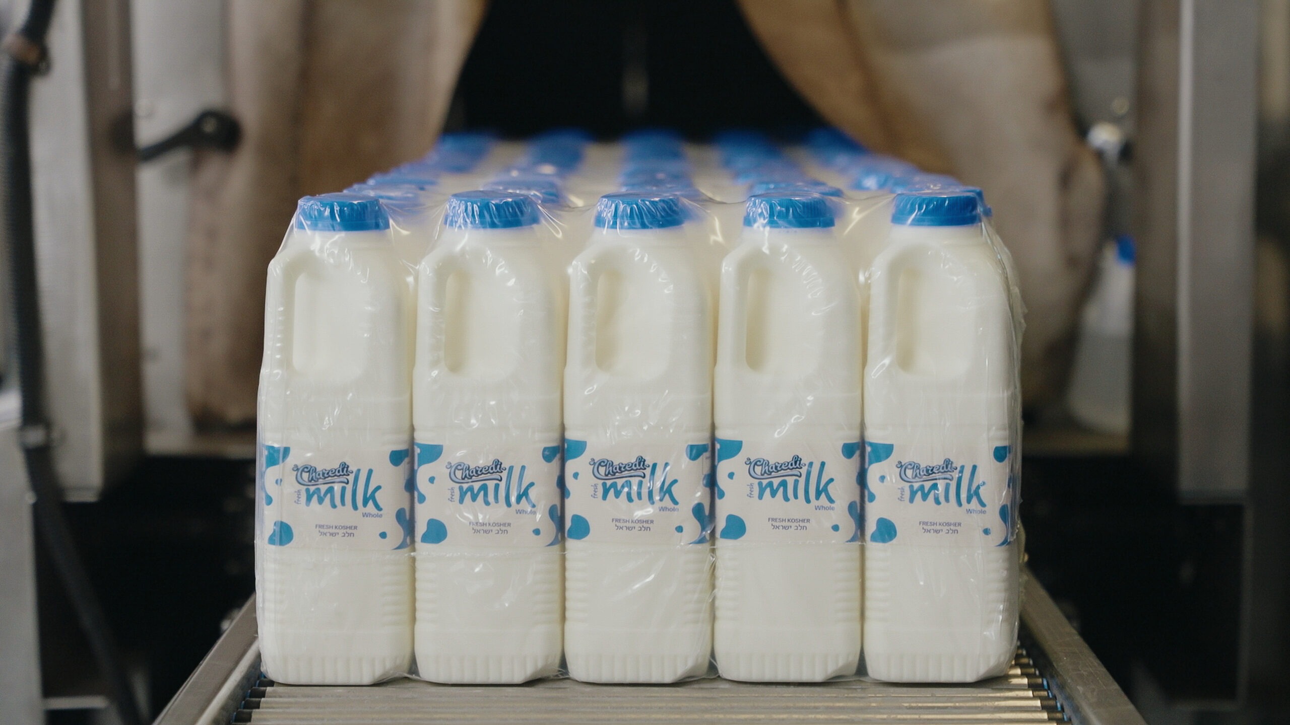 Charedi milk on the production line